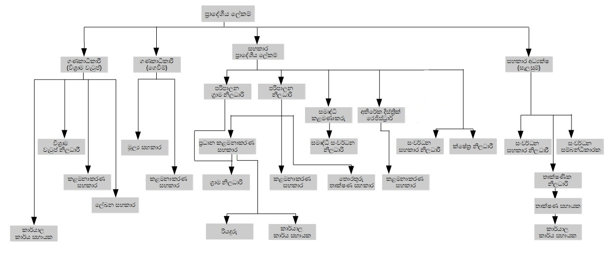 organization structure en